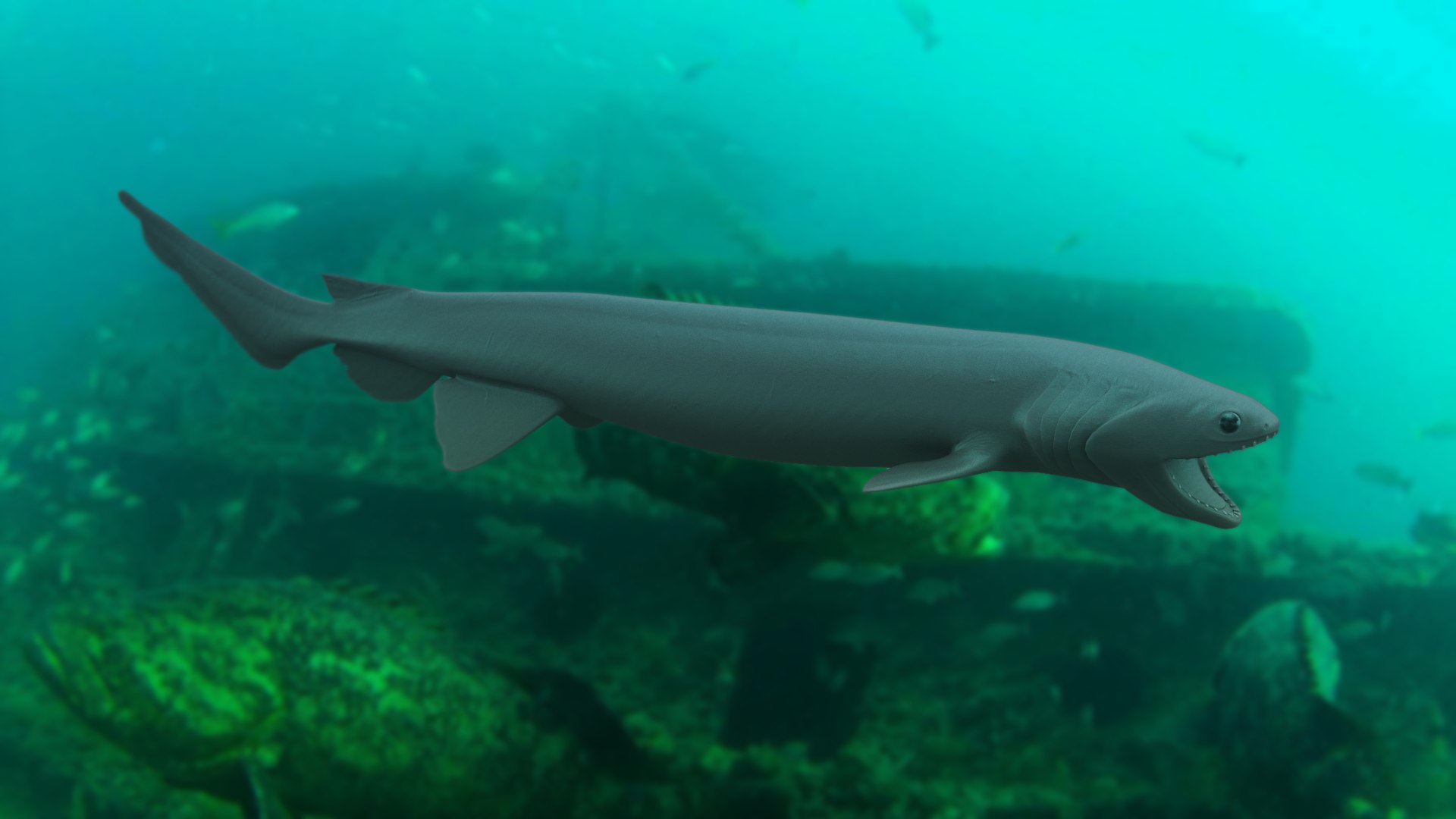 pbr fish wrasse snapper 3D model https://p.turbosquid.com/ts-thumb/91/kes61V/75puK14z/frilledshark_r1c/png/1581446866/1920x1080/fit_q87/b1be46e1de9be230e4036e193b56870a8463b033/frilledshark_r1c.jpg