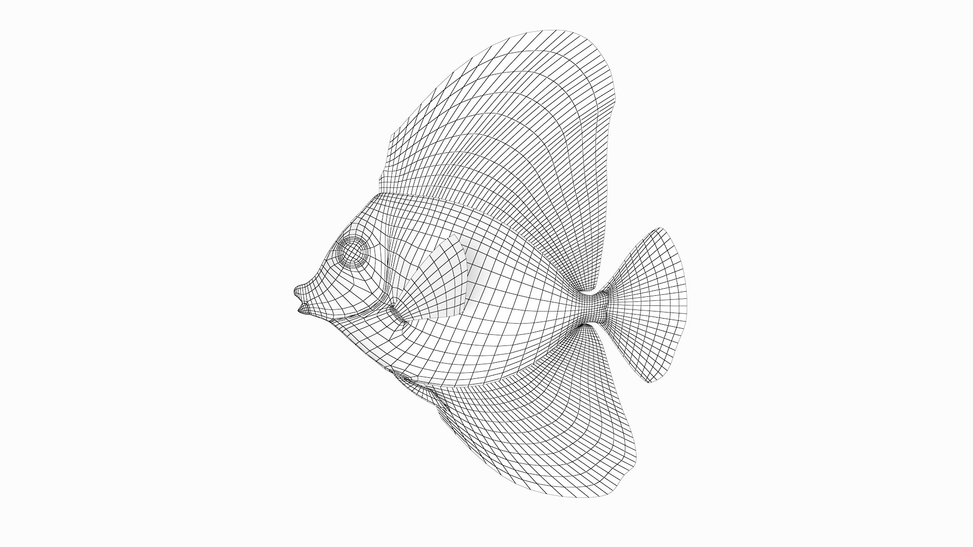 pbr fish wrasse snapper 3D model https://p.turbosquid.com/ts-thumb/91/kes61V/7ZVejKTp/sailfintang2_r2w/png/1581447125/1920x1080/fit_q87/4c0354abf8287861af1a5f5fee7f287709126e21/sailfintang2_r2w.jpg