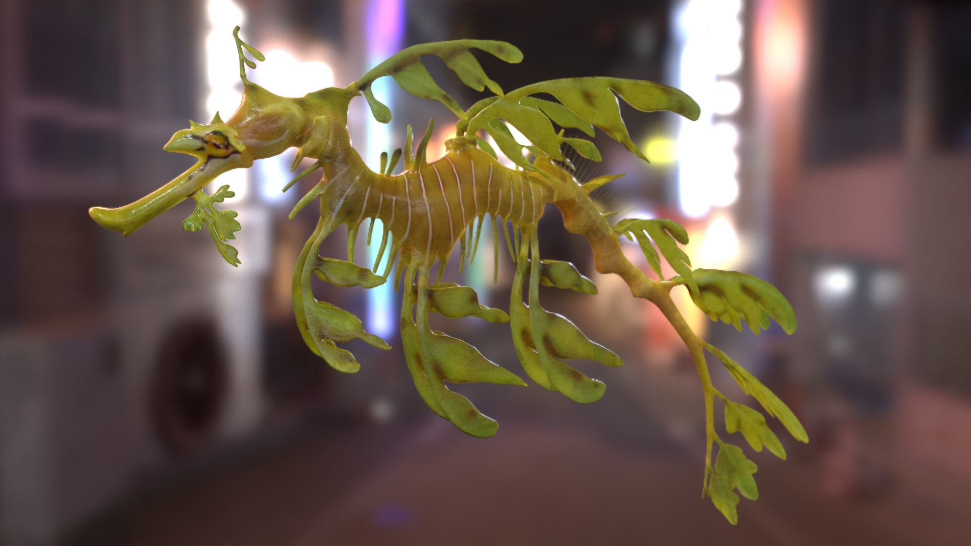 pbr fish wrasse snapper 3D model https://p.turbosquid.com/ts-thumb/91/kes61V/AwvDOv7S/leafyscreenshot276/png/1581446926/1920x1080/fit_q87/669dcb8d0941f3f1247cda813af45c128564b257/leafyscreenshot276.jpg