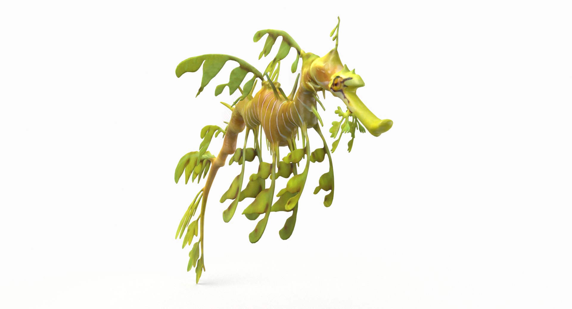 pbr fish wrasse snapper 3D model https://p.turbosquid.com/ts-thumb/91/kes61V/COeoY4lz/lsd_r6/png/1581446929/1920x1080/fit_q87/dfb530eabf249fbe1aac37e58332e75a6e817d38/lsd_r6.jpg