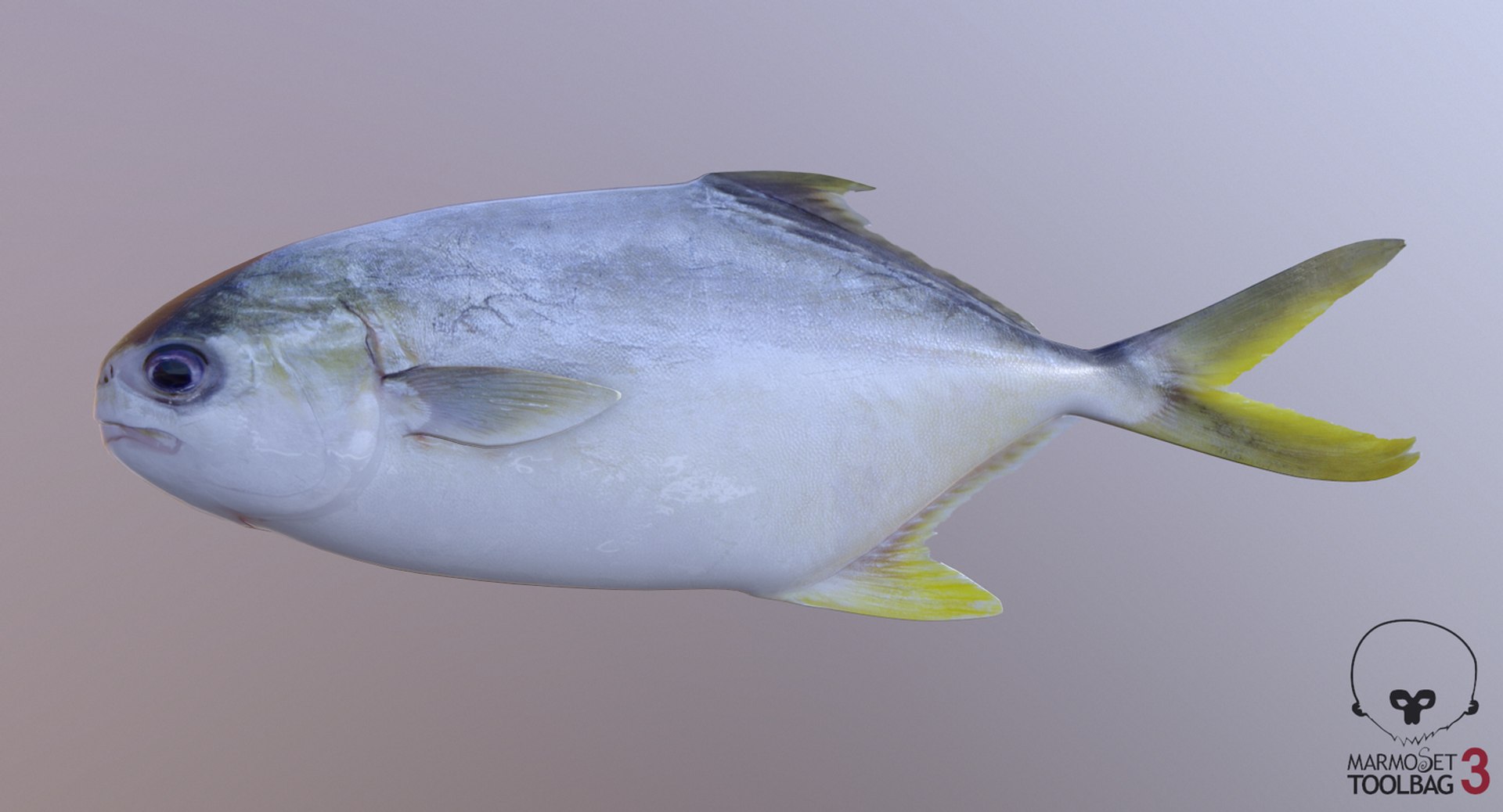 pbr fish wrasse snapper 3D model https://p.turbosquid.com/ts-thumb/91/kes61V/FewEERjp/pompano4/jpg/1581447056/1920x1080/fit_q87/8d5b2c215cdbfe2db8c4998395fc3994b3e29b53/pompano4.jpg