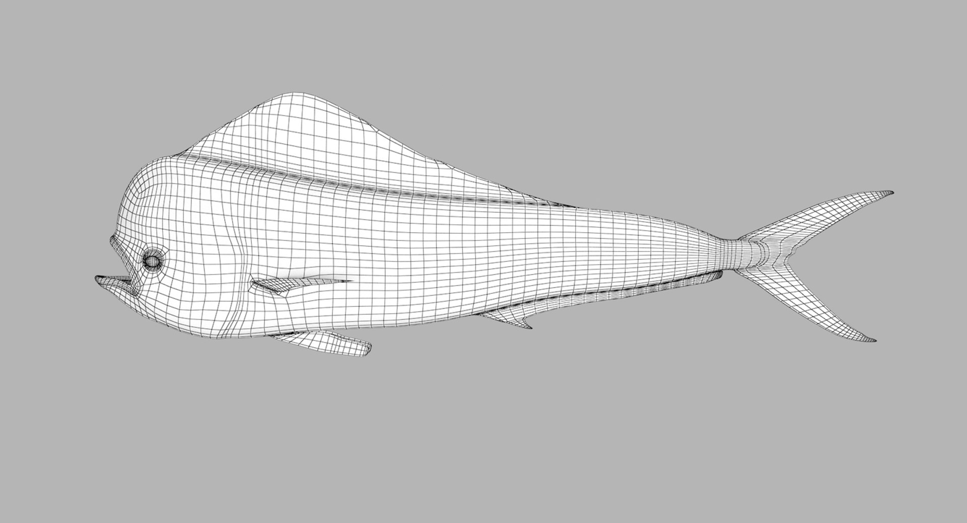 pbr fish wrasse snapper 3D model https://p.turbosquid.com/ts-thumb/91/kes61V/HQb6ct87/dorado5/jpg/1581446849/1920x1080/fit_q87/a0538fc6eb824c029ff4b4fdb2d0e6b15bf02167/dorado5.jpg