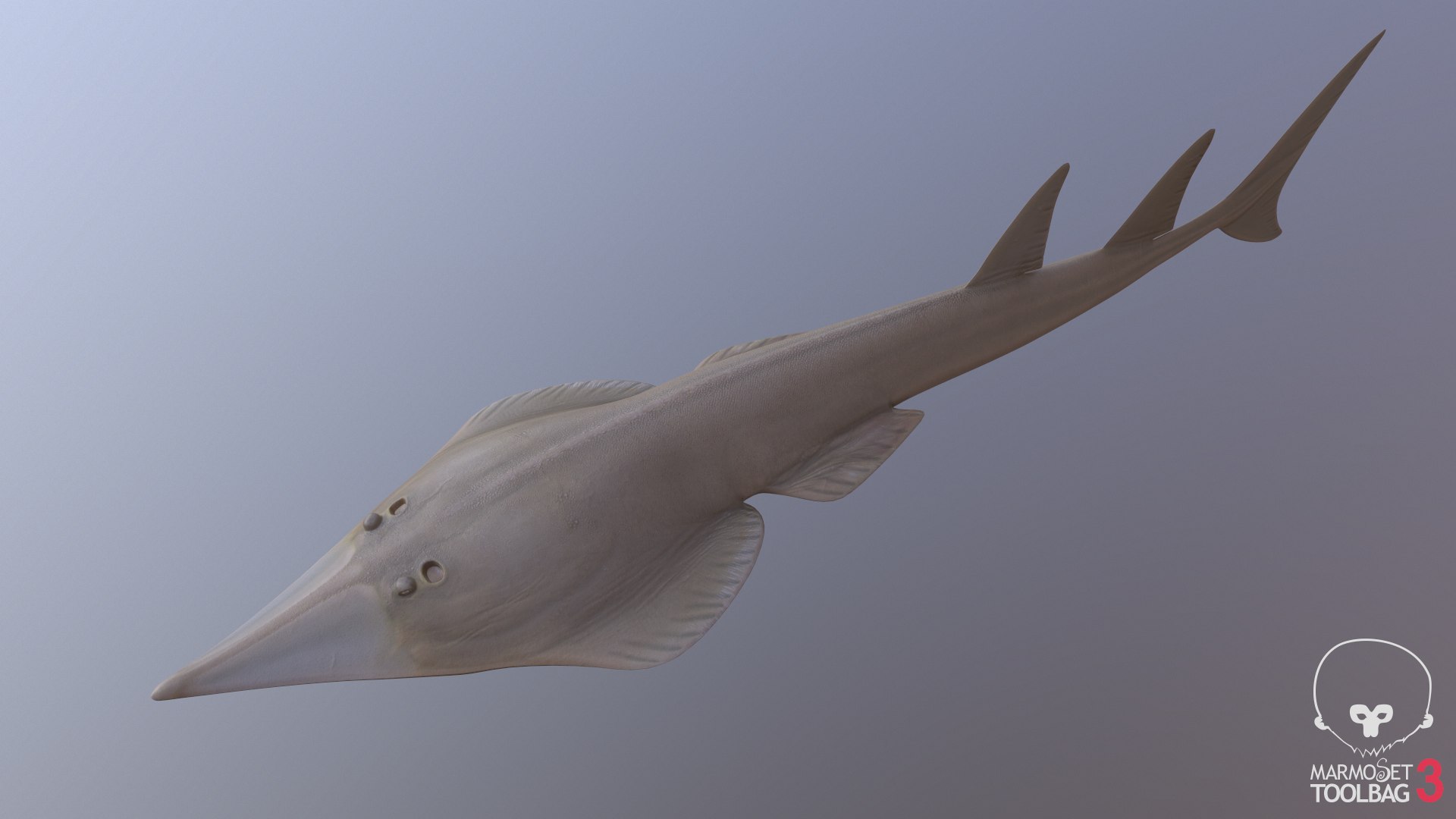 pbr fish wrasse snapper 3D model https://p.turbosquid.com/ts-thumb/91/kes61V/JHLr3tAk/shovelnoseguitarfishscreenshot1021/png/1581447144/1920x1080/fit_q87/b8404ef5ba94ca3b16d0dadd0550f5e57d41be82/shovelnoseguitarfishscreenshot1021.jpg