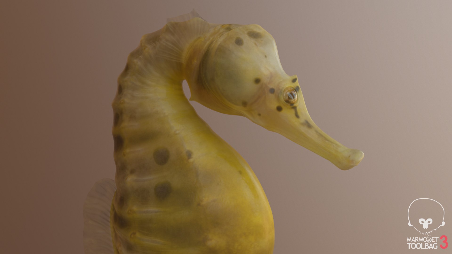 pbr fish wrasse snapper 3D model https://p.turbosquid.com/ts-thumb/91/kes61V/KB2DPsAk/bbshscreenshot1437/png/1581446758/1920x1080/fit_q87/3820d3e40ac09ba6f341c6ebe65702bf9da0e4e6/bbshscreenshot1437.jpg