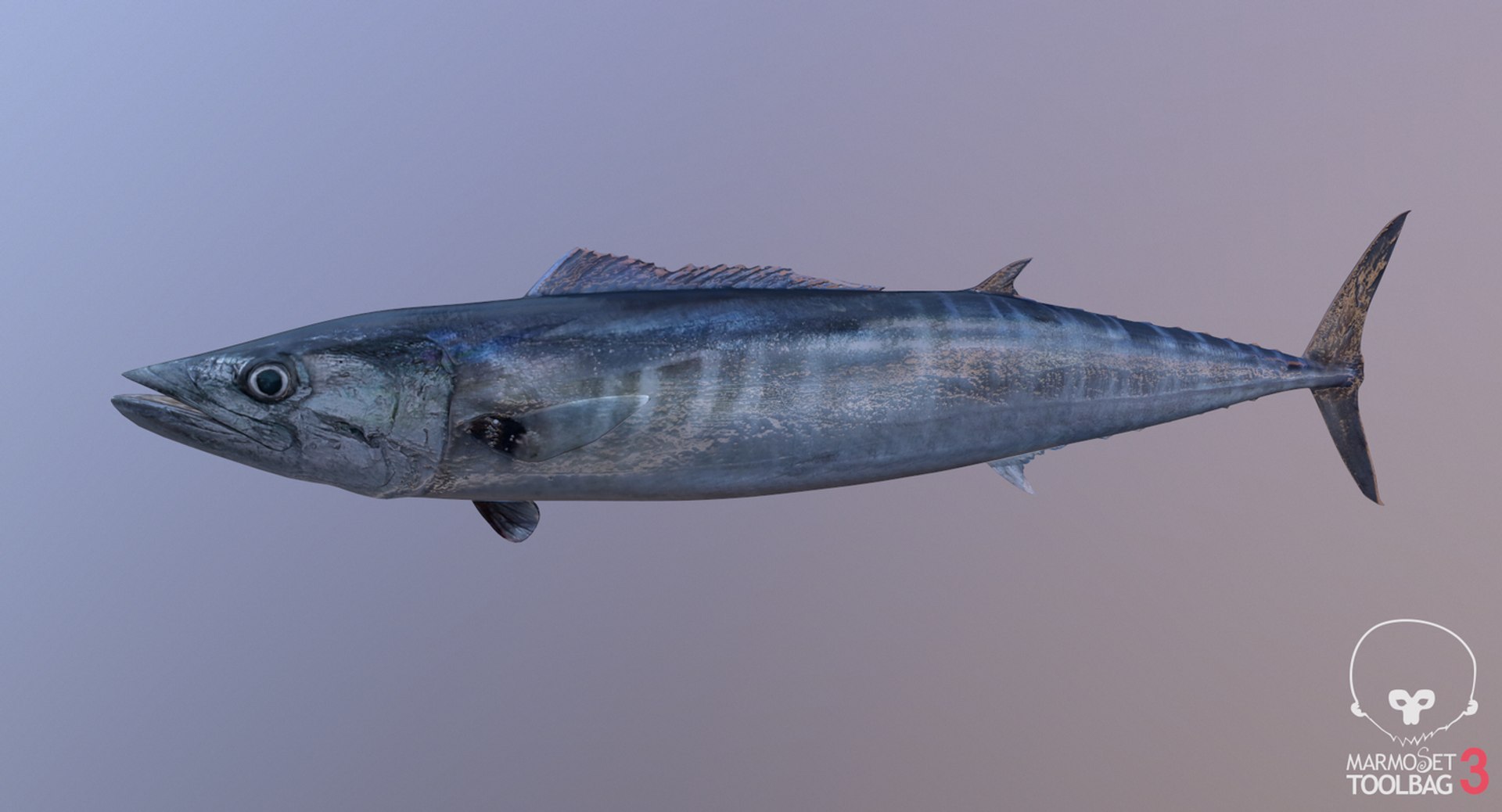 pbr fish wrasse snapper 3D model https://p.turbosquid.com/ts-thumb/91/kes61V/LJURTSFI/wahoo4/jpg/1581447225/1920x1080/fit_q87/b333f0574c94532c85fe59618681820ddf1bdf9b/wahoo4.jpg