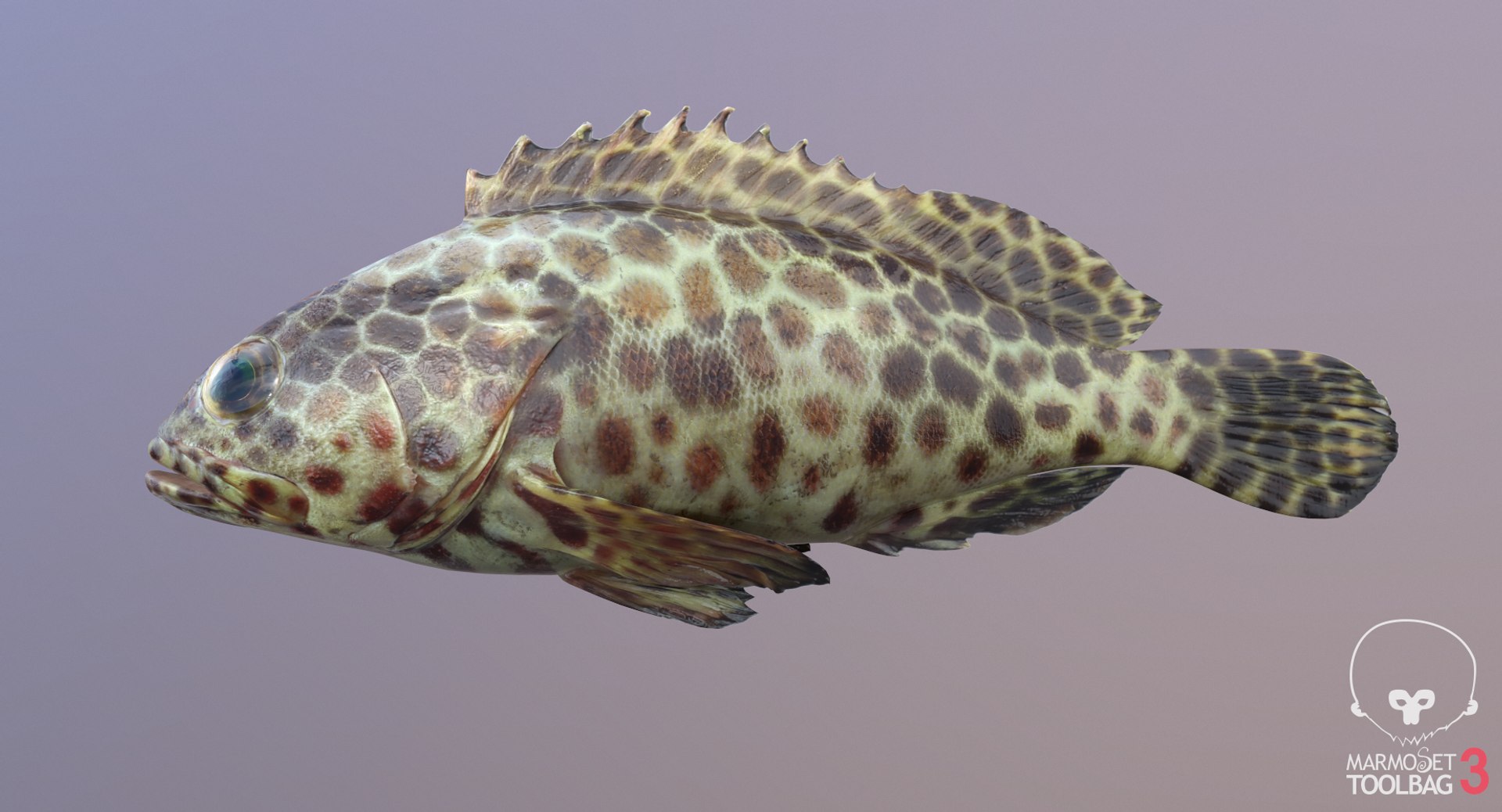 pbr fish wrasse snapper 3D model https://p.turbosquid.com/ts-thumb/91/kes61V/NB1GVnxC/groupscreenshot474/png/1581446910/1920x1080/fit_q87/fc05e69795b992019b83d927fabe1083abd4ed95/groupscreenshot474.jpg