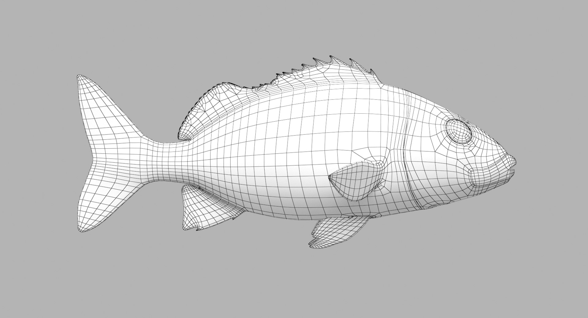 pbr fish wrasse snapper 3D model https://p.turbosquid.com/ts-thumb/91/kes61V/OZ34ThOf/bsg_r1w/png/1581446796/1920x1080/fit_q87/cc1969ecea5d7be619f5e29bb2ceecaaf6b38a53/bsg_r1w.jpg