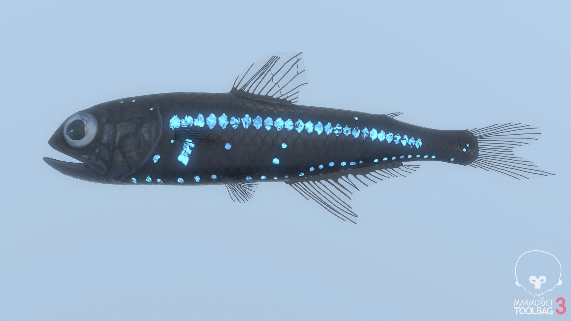 pbr fish wrasse snapper 3D model https://p.turbosquid.com/ts-thumb/91/kes61V/Rsap9sMs/lantscreenshot787/png/1581446921/1920x1080/fit_q87/0001dfabdb66a7152c5965716e02ec42bf09135a/lantscreenshot787.jpg