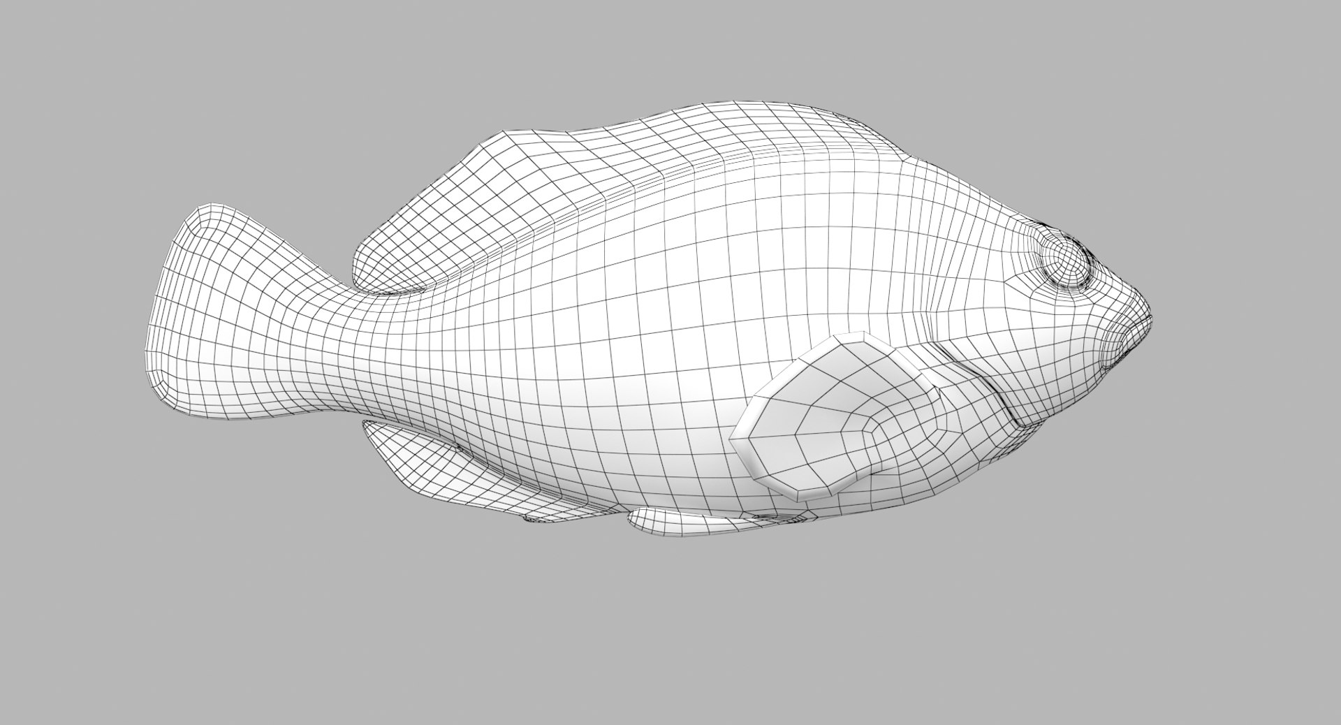 pbr fish wrasse snapper 3D model https://p.turbosquid.com/ts-thumb/91/kes61V/TGAd6O5z/flamehawkfish_r2w/png/1581446851/1920x1080/fit_q87/9b6cc3aa1c3043a63817e52a32c81593a09b6fb9/flamehawkfish_r2w.jpg
