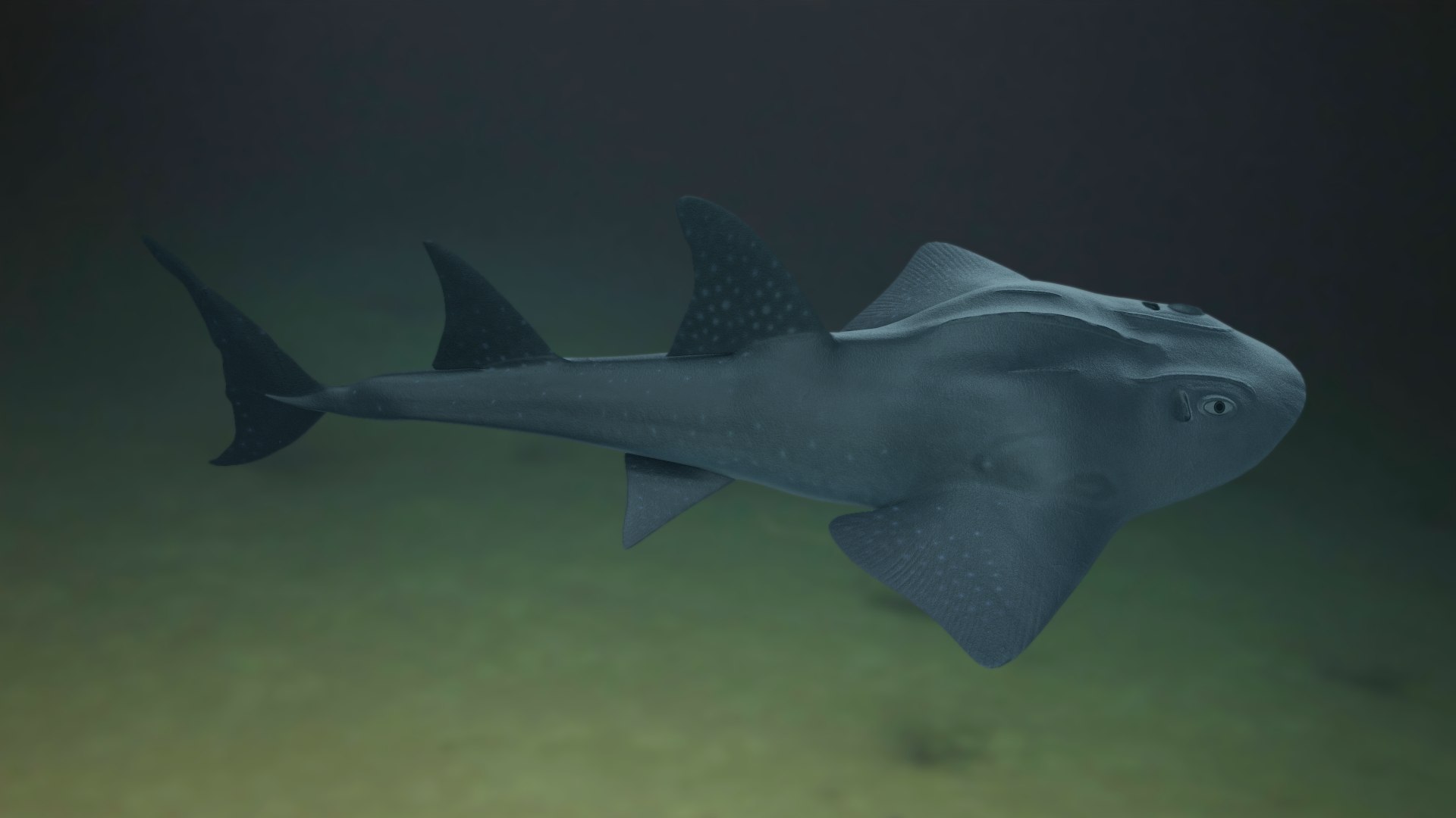 pbr fish wrasse snapper 3D model https://p.turbosquid.com/ts-thumb/91/kes61V/VOGZ9Fdi/bowmouth_r3c/png/1581446785/1920x1080/fit_q87/146740a6935c72b8bed225f9d2a967a8d237520f/bowmouth_r3c.jpg