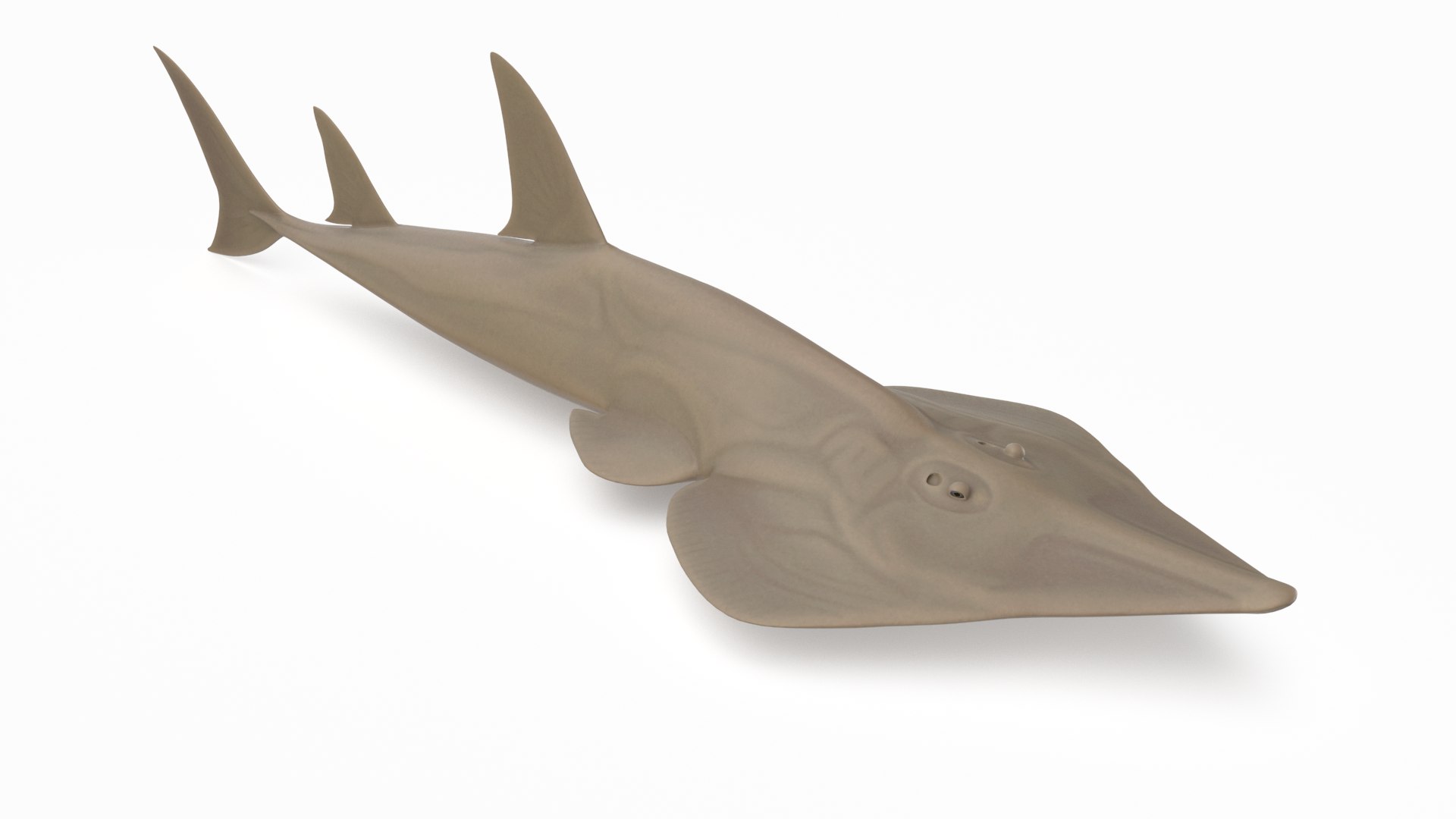 pbr fish wrasse snapper 3D model https://p.turbosquid.com/ts-thumb/91/kes61V/Vdm412Rx/shovelnoseguitarfish_r1/png/1581447138/1920x1080/fit_q87/8fe307956ceb2c7d37ce6ac16a16d32e1fd1349f/shovelnoseguitarfish_r1.jpg