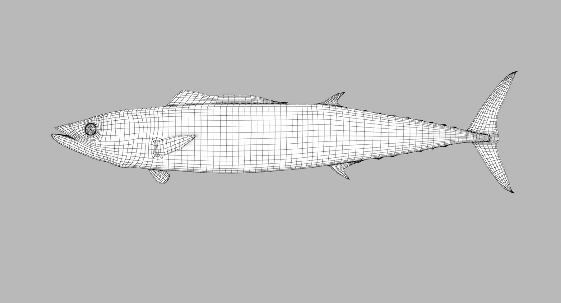 pbr fish wrasse snapper 3D model https://p.turbosquid.com/ts-thumb/91/kes61V/WcUkOuxL/wahoo5/jpg/1581447226/1920x1080/fit_q87/c75a4550e87a9940a3f426a14eda8c0708ba35ae/wahoo5.jpg
