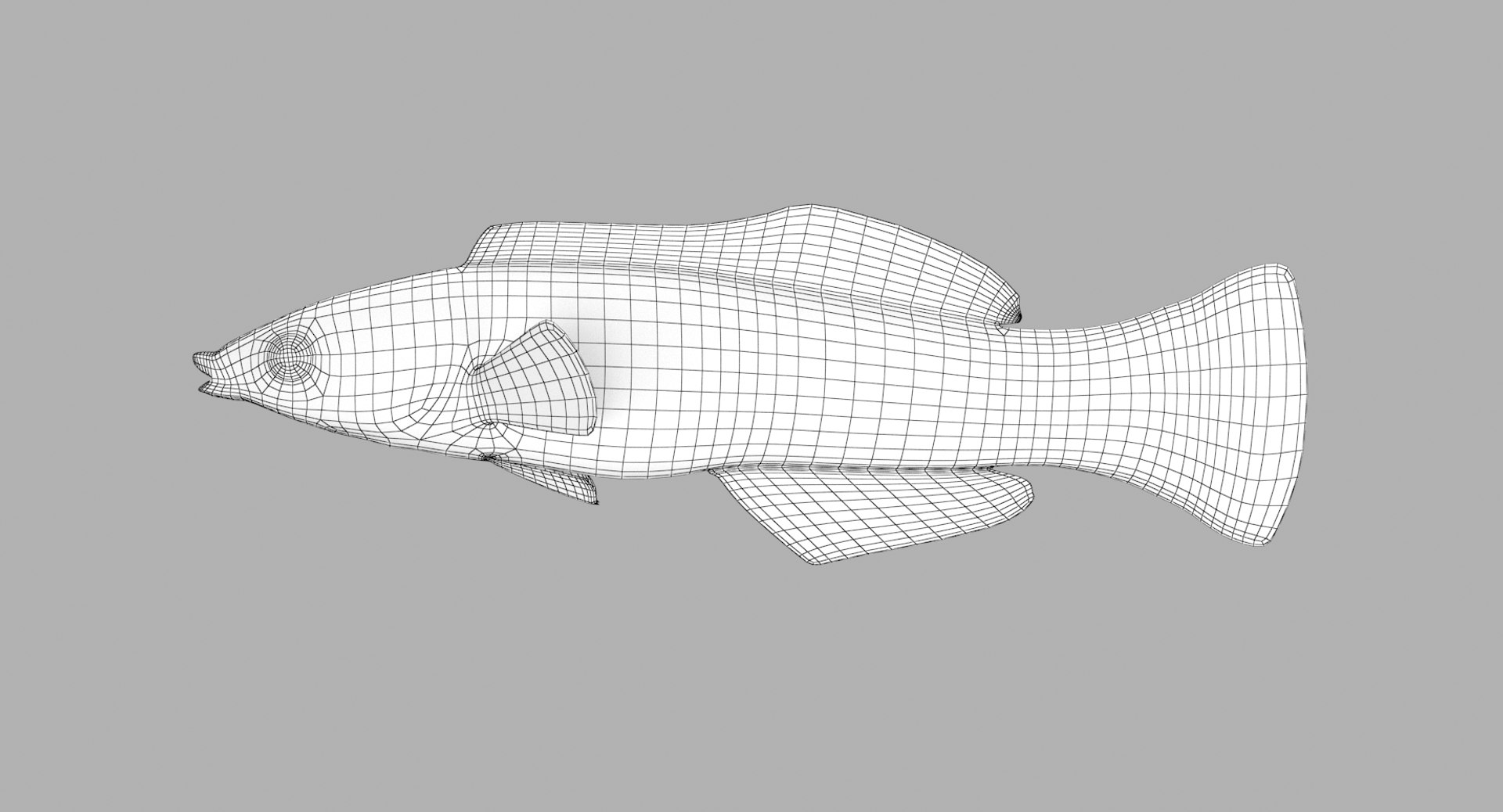 pbr fish wrasse snapper 3D model https://p.turbosquid.com/ts-thumb/91/kes61V/buzhtnQR/cleanerwrasse_r1w/png/1581446826/1920x1080/fit_q87/dd6da37fe06a2f6f1c6f96de64031d211e994761/cleanerwrasse_r1w.jpg