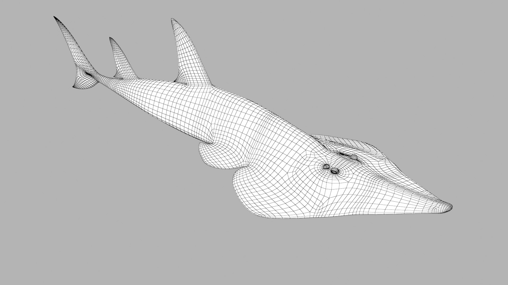 pbr fish wrasse snapper 3D model https://p.turbosquid.com/ts-thumb/91/kes61V/cIxEydgc/shovelnoseguitarfish_r1w/png/1581447141/1920x1080/fit_q87/ff4529dc66f29c97e71590d99edf03c9c46a3700/shovelnoseguitarfish_r1w.jpg