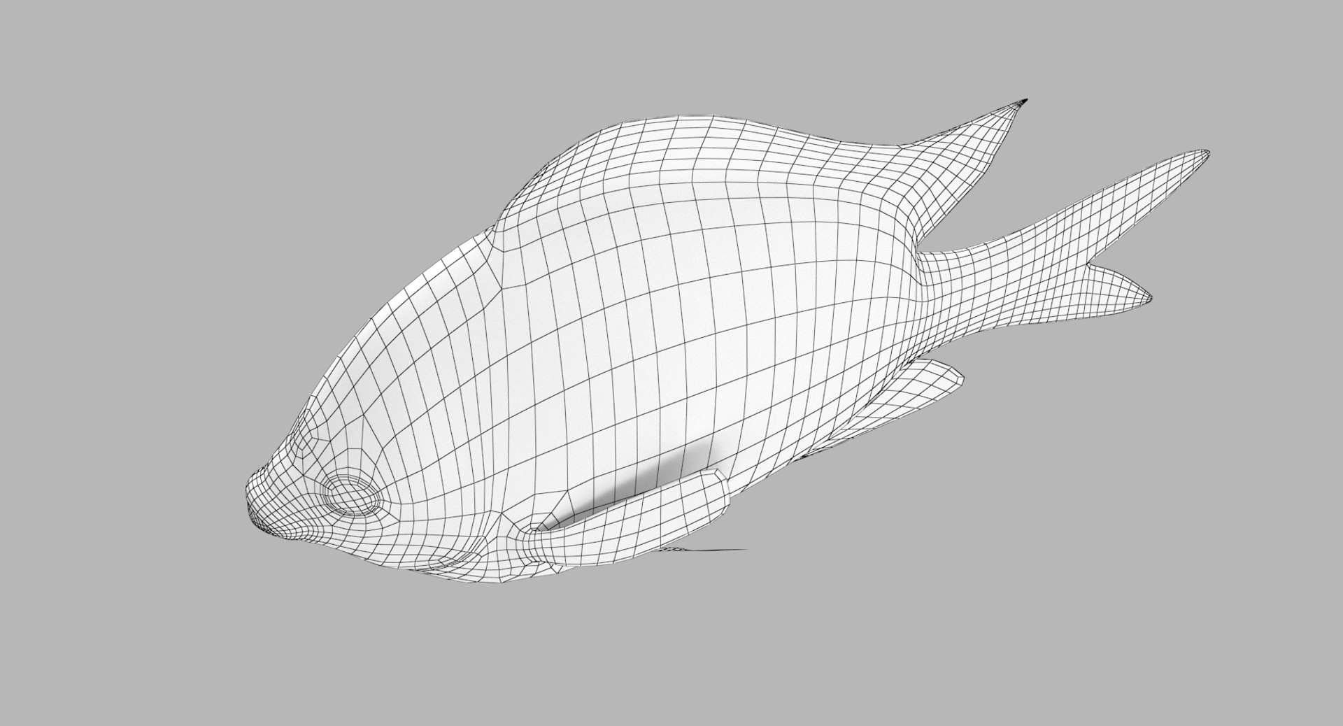 pbr fish wrasse snapper 3D model https://p.turbosquid.com/ts-thumb/91/kes61V/gUk0veoY/damselfish_r6w/png/1581446846/1920x1080/fit_q87/8a40de71b6581d7e9155ca6c3c4bb1e8a01b6325/damselfish_r6w.jpg