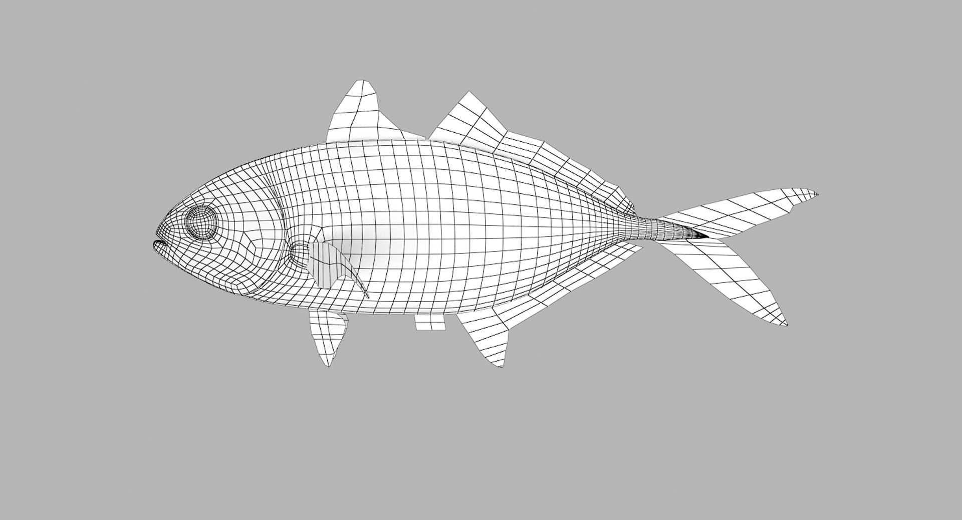 pbr fish wrasse snapper 3D model https://p.turbosquid.com/ts-thumb/91/kes61V/hC3iFViR/barjack_r1w/png/1581446747/1920x1080/fit_q87/328d72e8c4c54b640a6579e0ef45c325dfa44aba/barjack_r1w.jpg