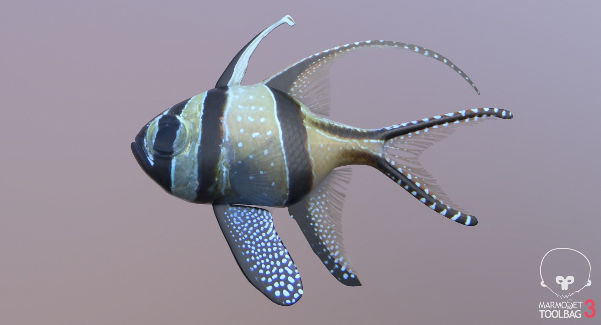 pbr fish wrasse snapper 3D model https://p.turbosquid.com/ts-thumb/91/kes61V/jAt4BWlX/bangscreenshot663/png/1581446746/1920x1080/fit_q87/98cf9afbcd74d0ebfb3b98656d94b8b5e717a23a/bangscreenshot663.jpg