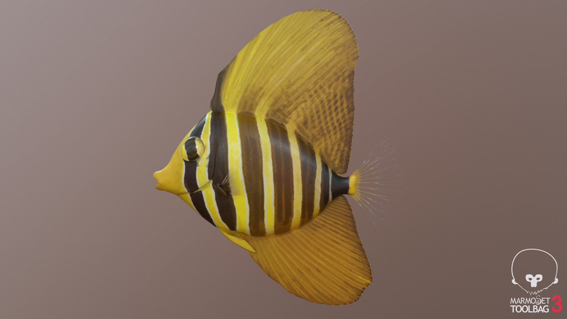 pbr fish wrasse snapper 3D model https://p.turbosquid.com/ts-thumb/91/kes61V/jFWOIYu3/sailfingtang2screenshot1172/png/1581447108/1920x1080/fit_q87/de21a8e04f90ad1e41a98115519bf011b255e90b/sailfingtang2screenshot1172.jpg