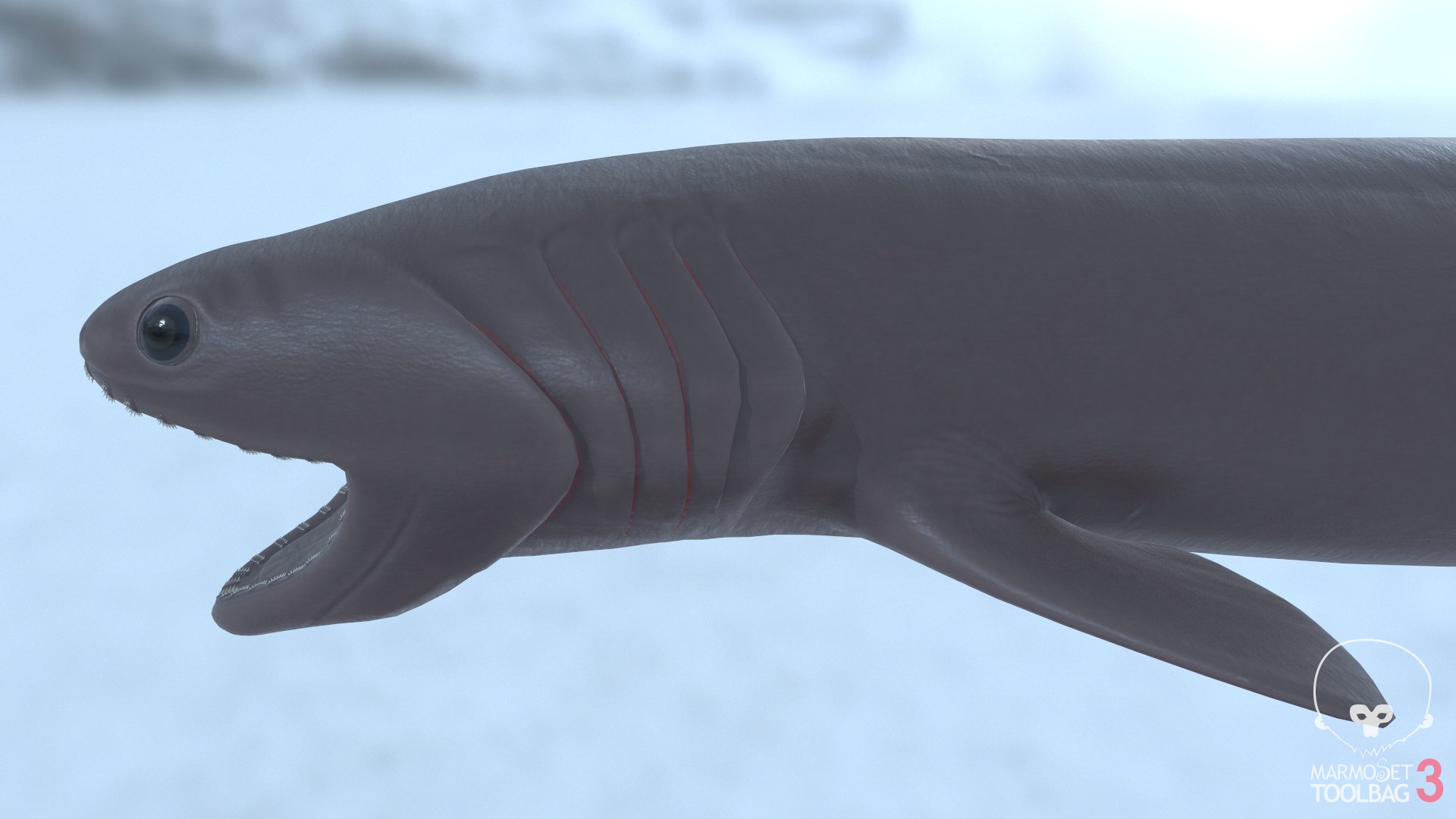 pbr fish wrasse snapper 3D model https://p.turbosquid.com/ts-thumb/91/kes61V/kKgNeLcn/frilledshark4/png/1581446867/1920x1080/fit_q87/f651a4294c1b0aa17450d2c1be3b6482cc10169e/frilledshark4.jpg