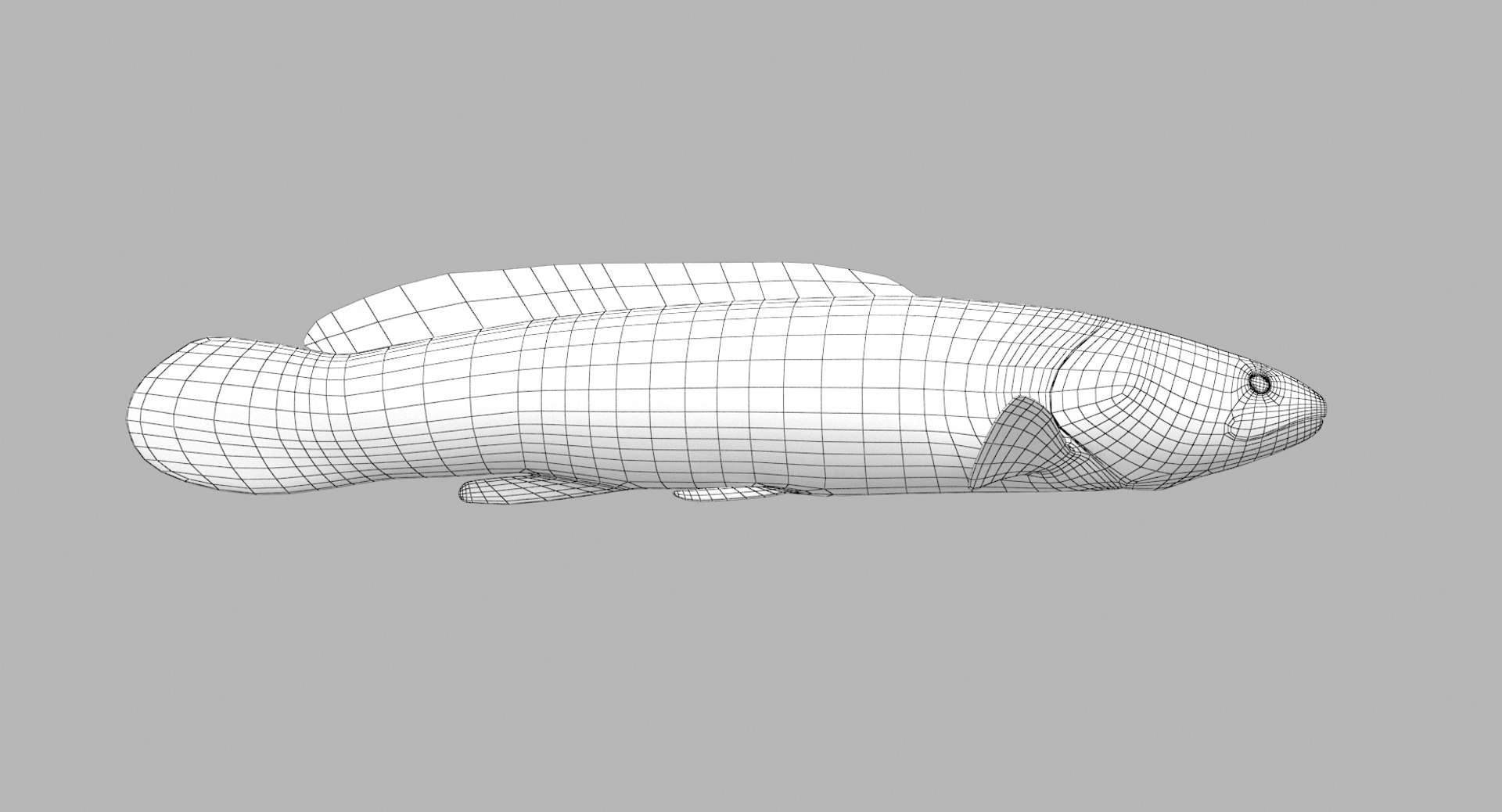 pbr fish wrasse snapper 3D model https://p.turbosquid.com/ts-thumb/91/kes61V/oPfrrvoG/bowfin_r1w/png/1581446780/1920x1080/fit_q87/6bc6555f2c941833bde8e0ba1bd0fdbbe0bec35f/bowfin_r1w.jpg