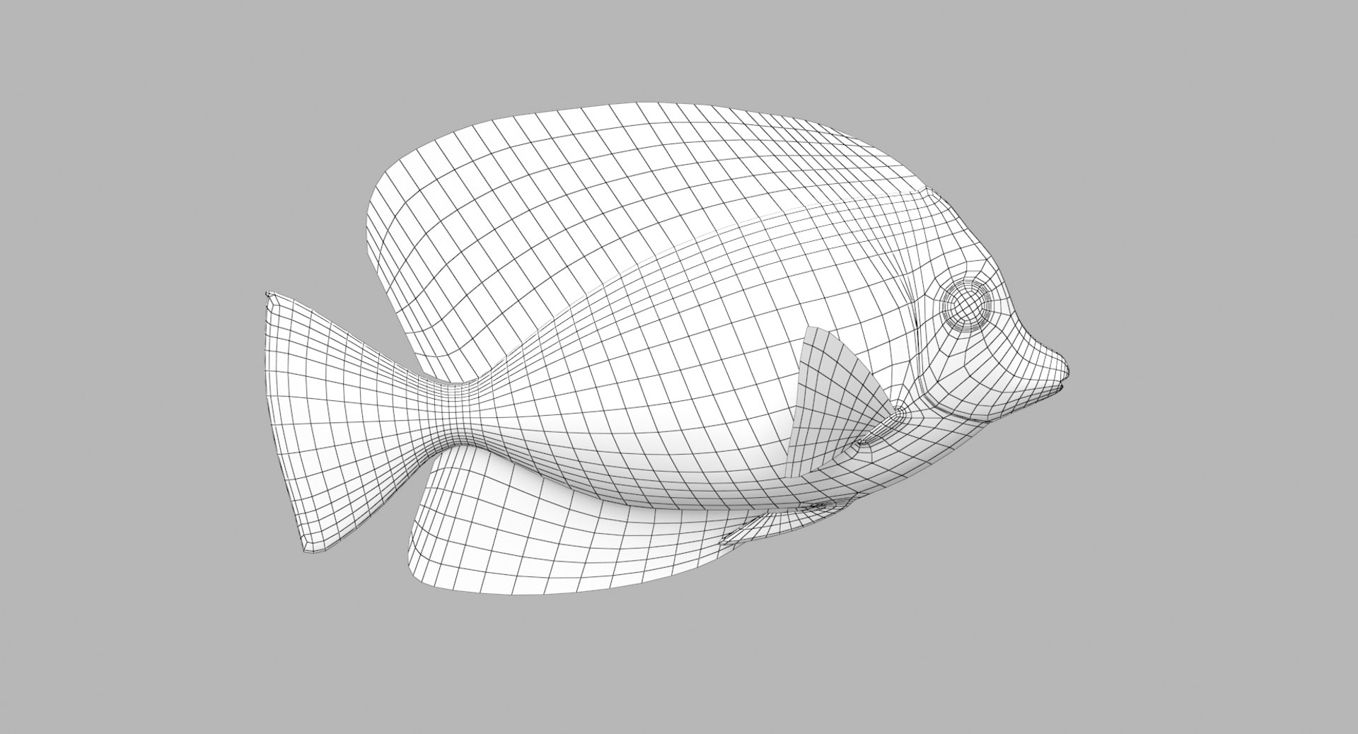 pbr fish wrasse snapper 3D model https://p.turbosquid.com/ts-thumb/91/kes61V/pDmXhWtm/sailfintang_r1w/png/1581447110/1920x1080/fit_q87/56f25766ec11fc033e0768314f1a12f06c2cbb4f/sailfintang_r1w.jpg