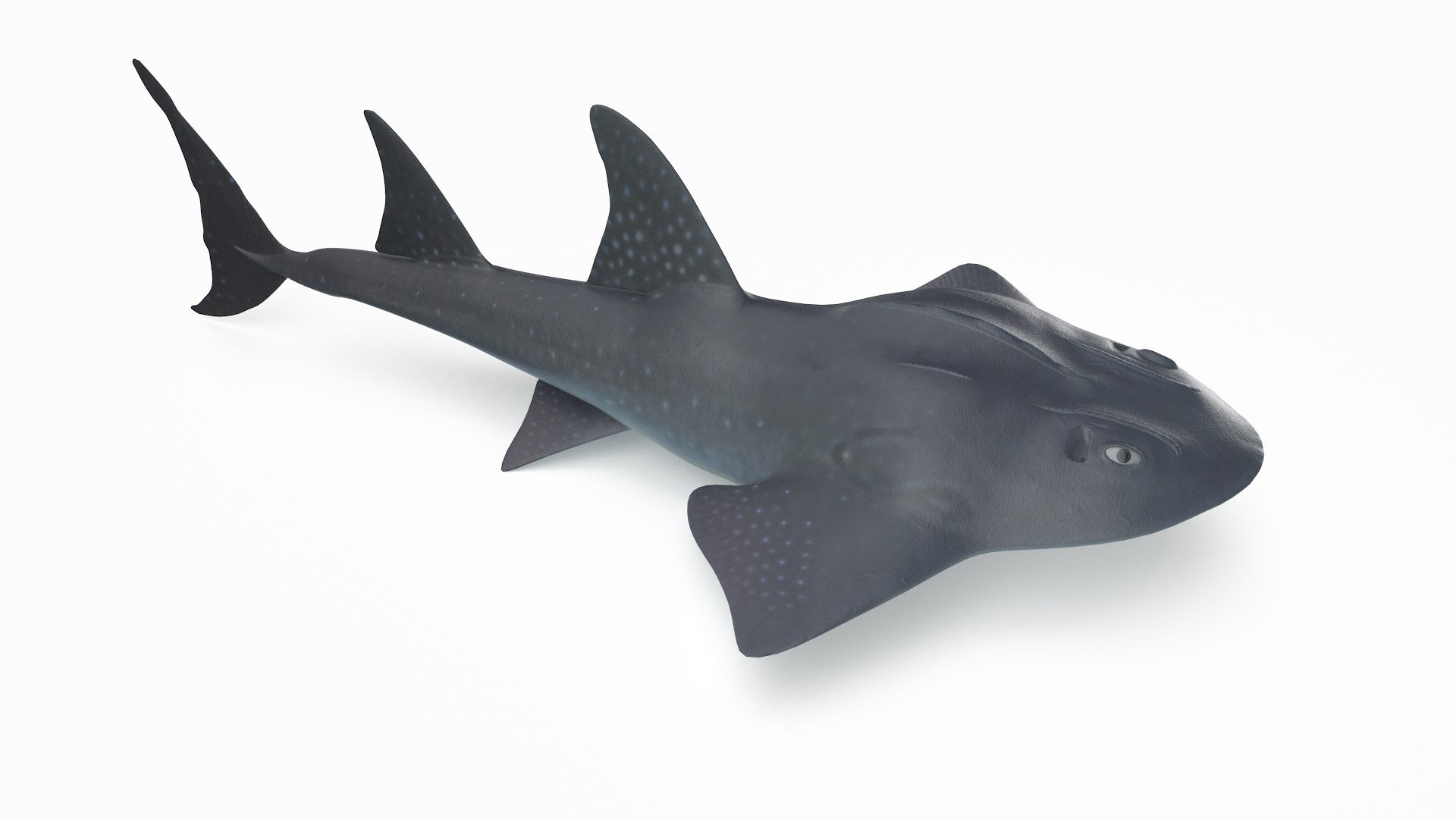 pbr fish wrasse snapper 3D model https://p.turbosquid.com/ts-thumb/91/kes61V/rsquAAZI/bowmouth_r1/png/1581446783/1920x1080/fit_q87/66877515ba23e6a4cb2d998bc173a53a0ec5a3ae/bowmouth_r1.jpg