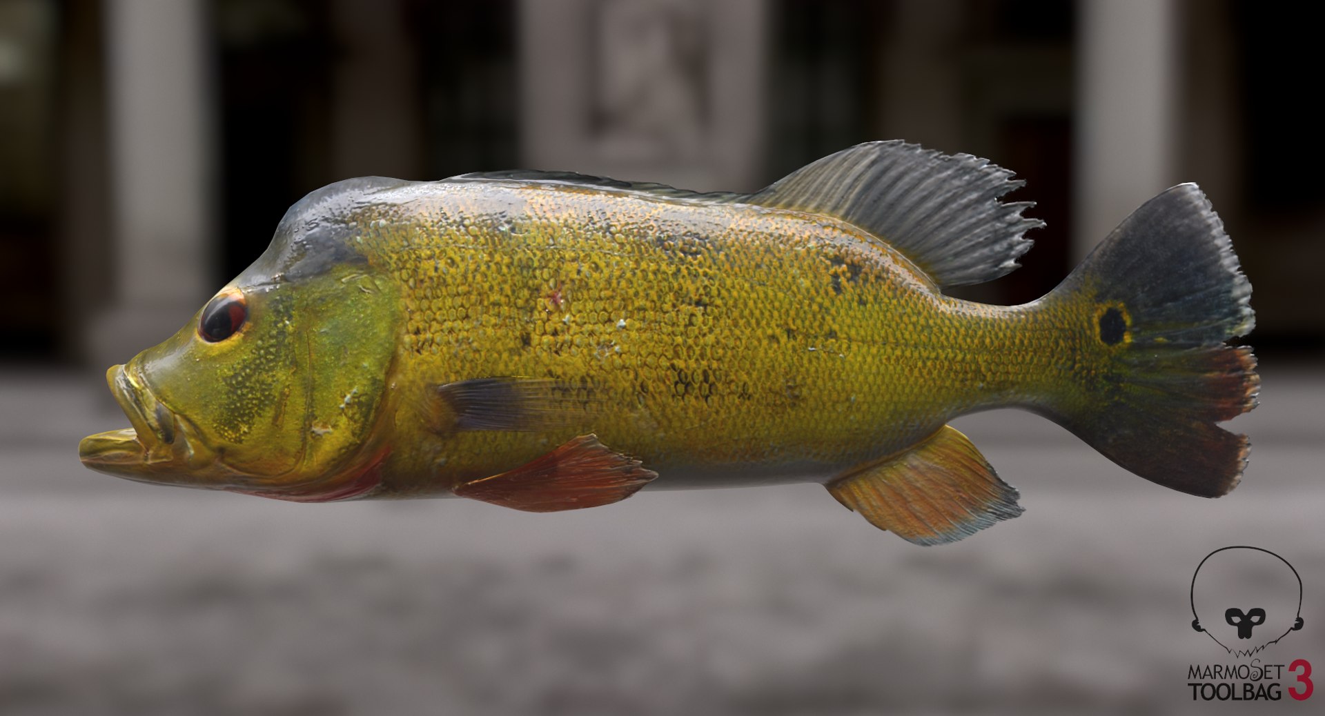 pbr fish wrasse snapper 3D model https://p.turbosquid.com/ts-thumb/91/kes61V/s2lsaUL2/peacoscreenshot415/png/1581447000/1920x1080/fit_q87/e5bc42866fbe0450509de10890a947345c80d8ae/peacoscreenshot415.jpg