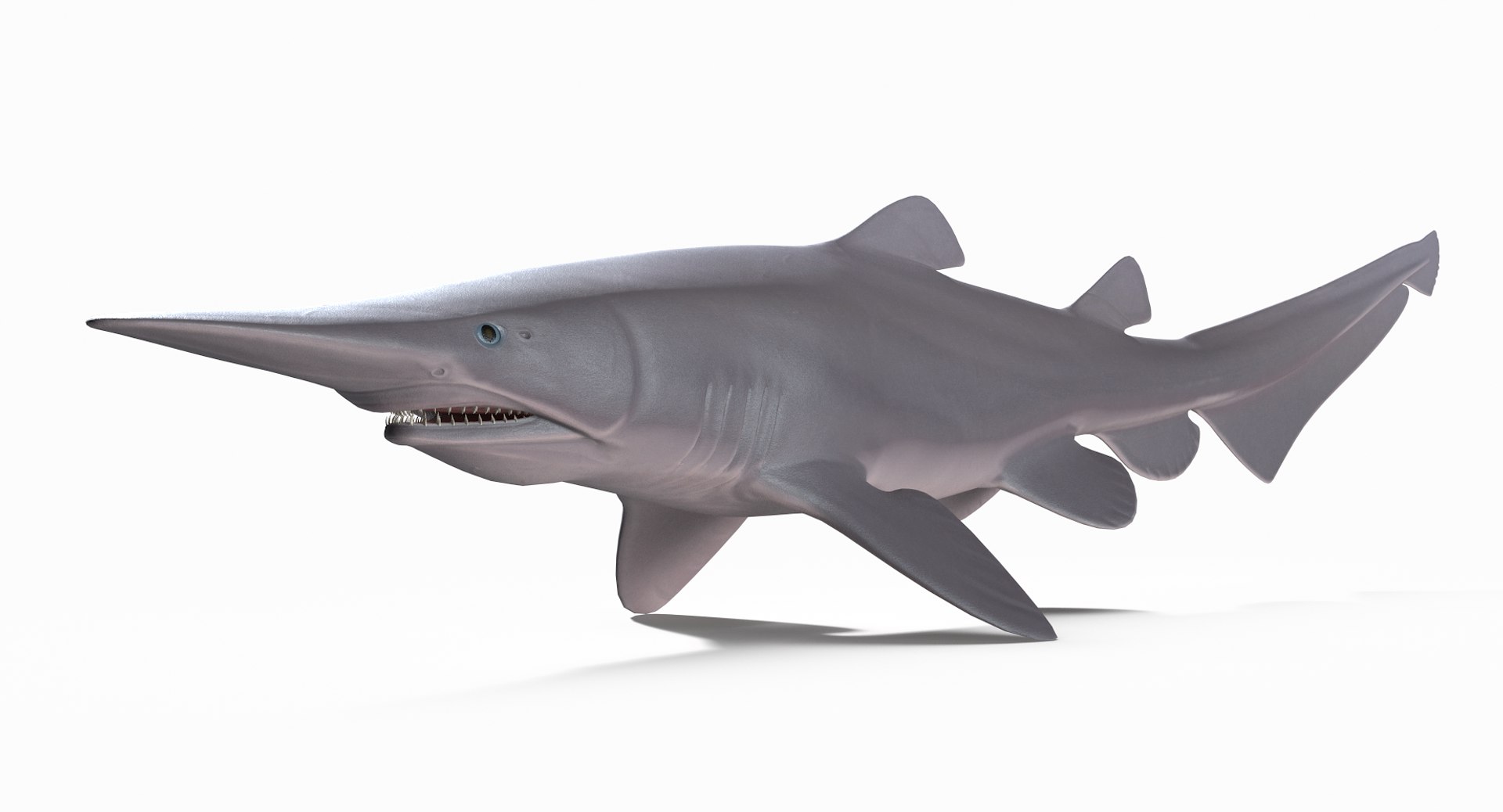 pbr fish wrasse snapper 3D model https://p.turbosquid.com/ts-thumb/91/kes61V/sLKZjzqb/goblinshark_r4/png/1581446889/1920x1080/fit_q87/a9a68ac3624acd6e491930193cb509a946341126/goblinshark_r4.jpg