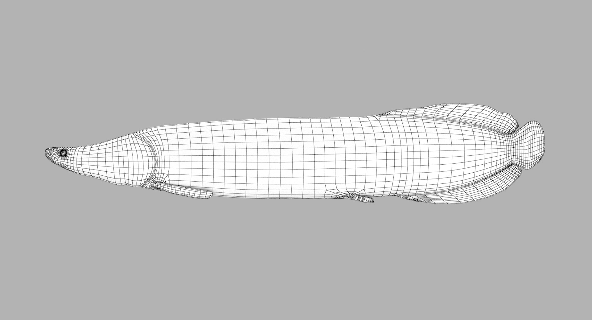 pbr fish wrasse snapper 3D model https://p.turbosquid.com/ts-thumb/91/kes61V/suRGrxi8/arapaima_r1w/png/1581446716/1920x1080/fit_q87/7ca1b37100603f2c875390ed8c2fc12d39b74558/arapaima_r1w.jpg