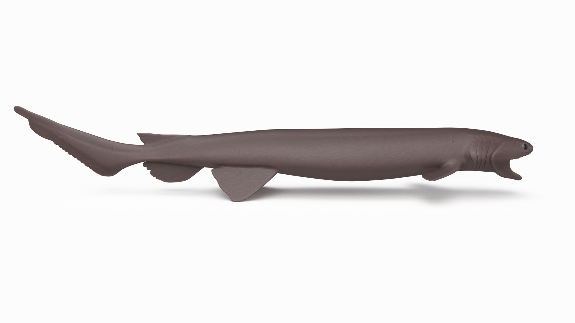 pbr fish wrasse snapper 3D model https://p.turbosquid.com/ts-thumb/91/kes61V/uK1lmz6U/frilledshark_r3/png/1581446867/1920x1080/fit_q87/a9fb05fa9b6ffedfd1f3339dcb04ca8d2ec76796/frilledshark_r3.jpg