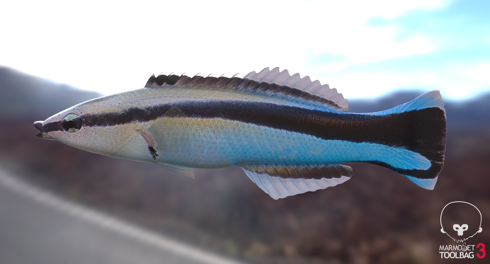 pbr fish wrasse snapper 3D model https://p.turbosquid.com/ts-thumb/91/kes61V/vFGTqlue/cleanerscreenshot457/png/1581446824/1920x1080/fit_q87/e12a6f7c74cefa9a85a8e30847a7629c8428d6e6/cleanerscreenshot457.jpg