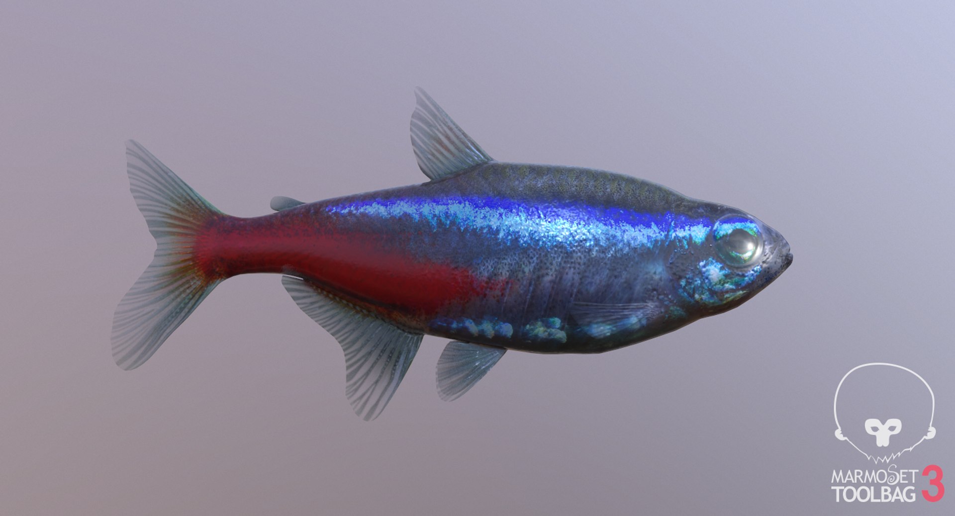 pbr fish wrasse snapper 3D model https://p.turbosquid.com/ts-thumb/91/kes61V/wPypHHhW/cardscreenshot443/png/1581446823/1920x1080/fit_q87/83ec00b874ce770cea908a8c5f01e0f4bc03f00b/cardscreenshot443.jpg