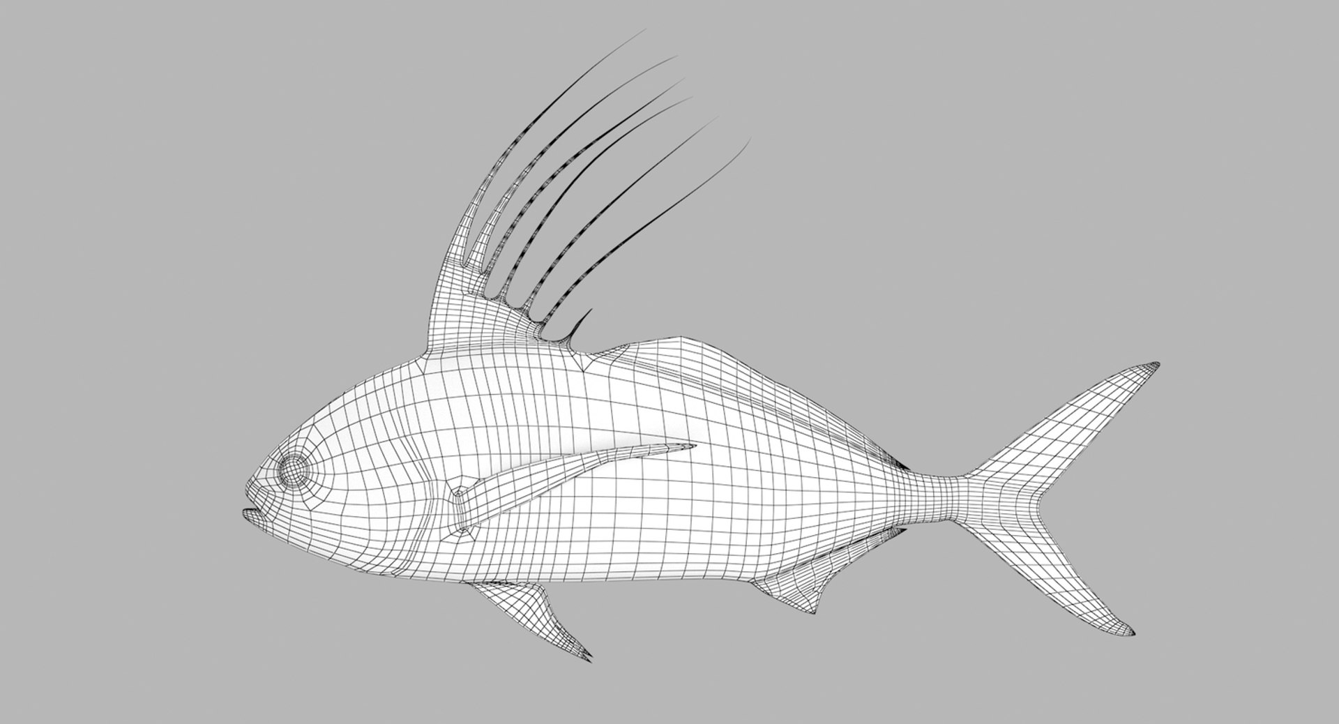 pbr fish wrasse snapper 3D model https://p.turbosquid.com/ts-thumb/91/kes61V/xJy7S6GQ/roosterfish5/jpg/1581447104/1920x1080/fit_q87/8a255b45403237c270765f8c401da7588637d8ce/roosterfish5.jpg