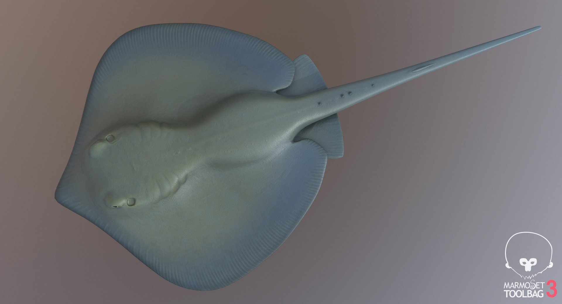 pbr fish wrasse snapper 3D model https://p.turbosquid.com/ts-thumb/91/kes61V/yd2chPOV/southscreenshot611/png/1581447186/1920x1080/fit_q87/2ab4e09fb0b44c1773452c0e226bc875ef6b3e85/southscreenshot611.jpg