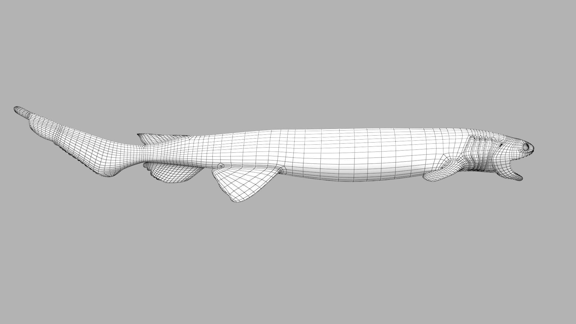 pbr fish wrasse snapper 3D model https://p.turbosquid.com/ts-thumb/91/kes61V/yjHnNWJb/frilledshark_r3w/png/1581446867/1920x1080/fit_q87/678f27cdd7ac8d71673b7af743e8523ec206f0dc/frilledshark_r3w.jpg