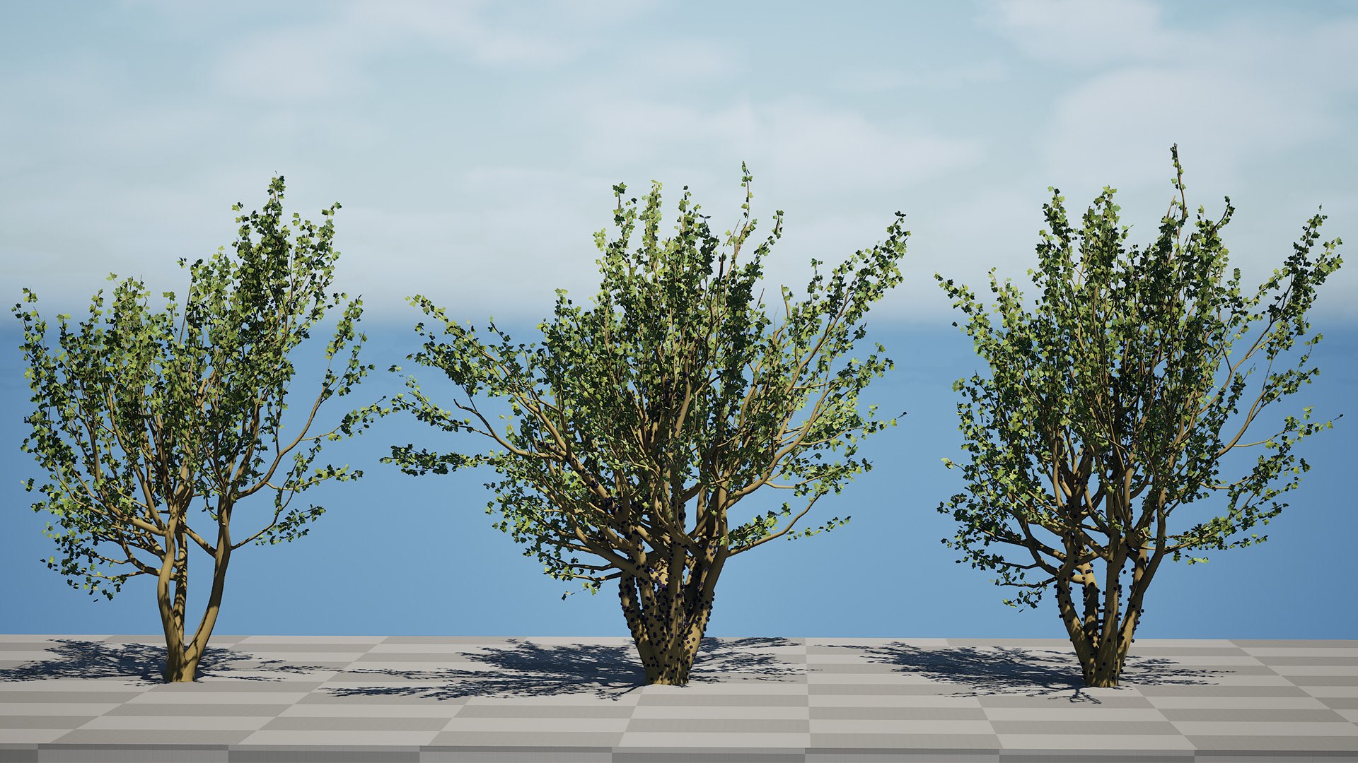 3D Jaboticaba Tree model https://p.turbosquid.com/ts-thumb/91/lkGwcs/PV/highresscreenshot00001s/jpg/1752409636/1920x1080/fit_q87/d4b900457fae225458f83acdb944bcd9392f3e4f/highresscreenshot00001s.jpg