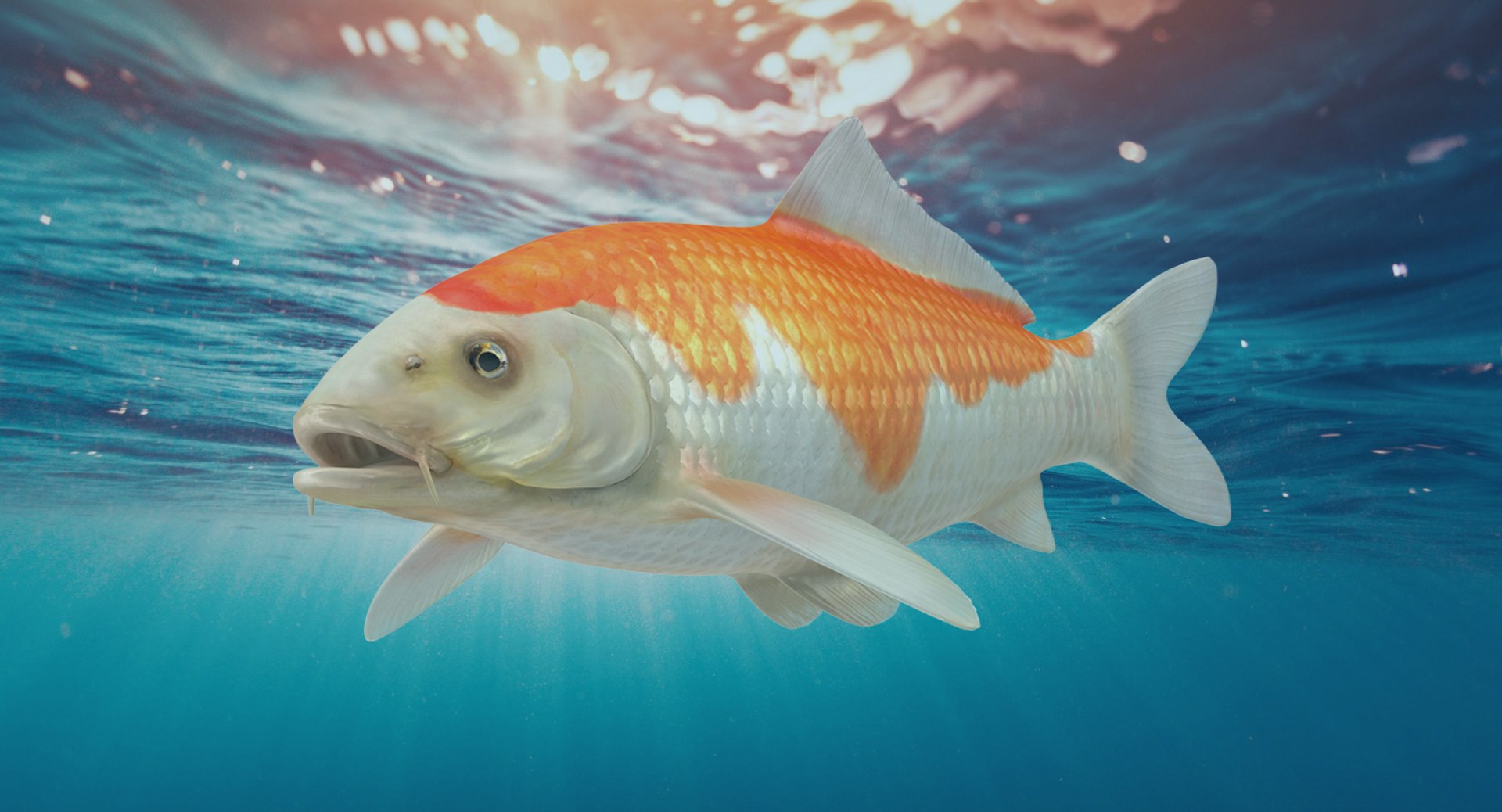 Harivake Koi Fish(1) 3D model preview