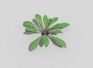 plant games 3d model
