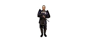 samura bujinkan 3D