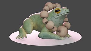 Zen Frog 3D