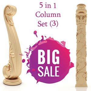 architectural column 5 3D model