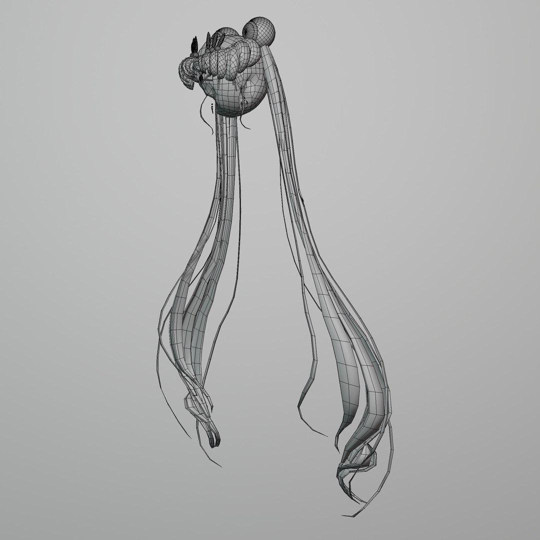 3D Sailor moon hair - low poly - vtuber - wig - cosplay https://p.turbosquid.com/ts-thumb/92/OAcKTp/4X/cc02/jpg/1627083950/1920x1080/fit_q87/061a19ca2bd694d509484975ee7161b47be33f6a/cc02.jpg