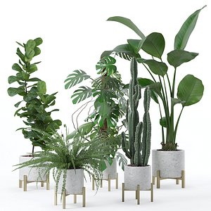 20 Photorealistic Flowers for Interiors - set 118 127 132 133