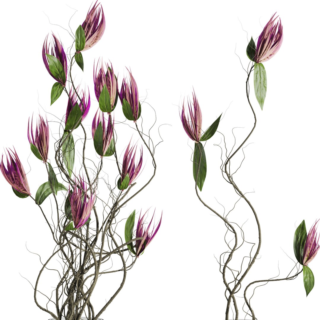 Flowers Model - TurboSquid 2443450