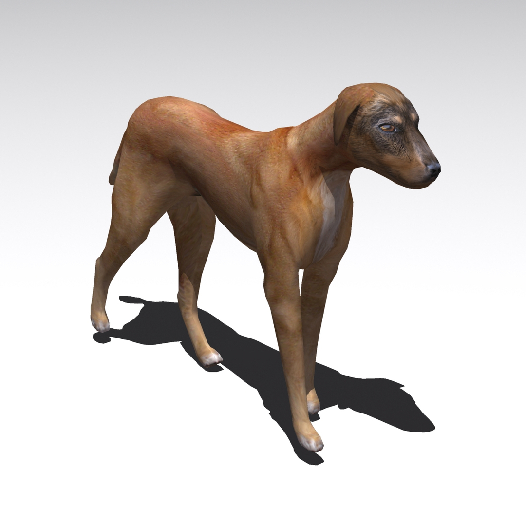 stray dog 3ds https://p.turbosquid.com/ts-thumb/92/irjjMj/qvCiToiD/walkcycle01/jpg/1307376820/1920x1080/turn_fit_q99/7a2fcd1f5fd428f4348d18af461ae7d434a1e60c/walkcycle01-1.jpg