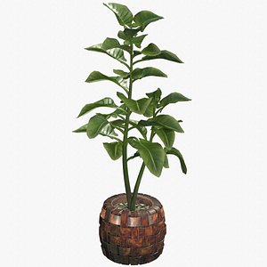3D Tall Tropical Plant - Game Asset