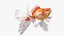 3D White Goldfish Aquarium Fish Swim