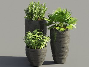 plant 3D