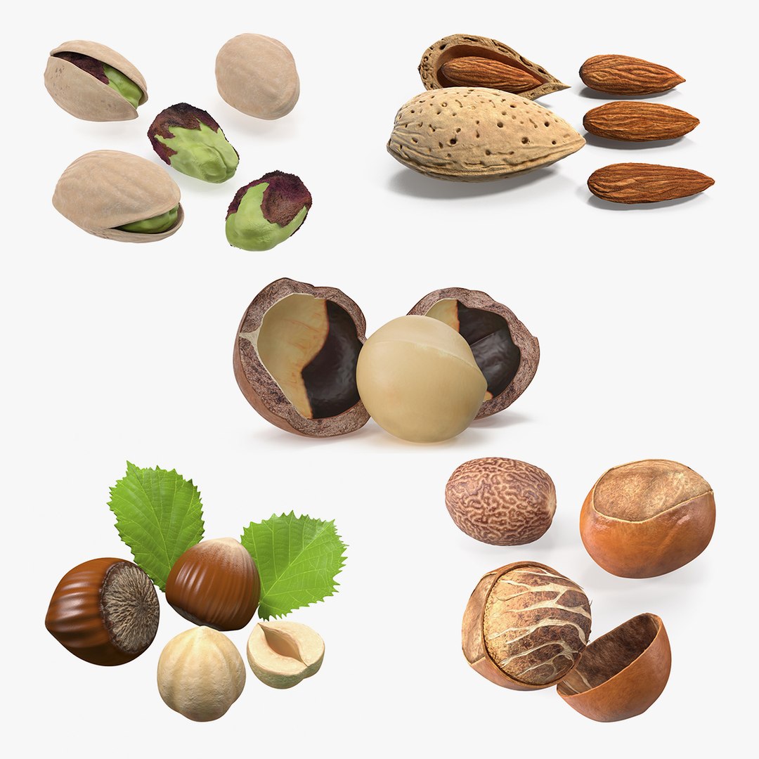 Opened Nuts Collection 2 3D model preview