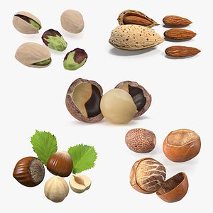 3D Opened Nuts Collection 2 model
